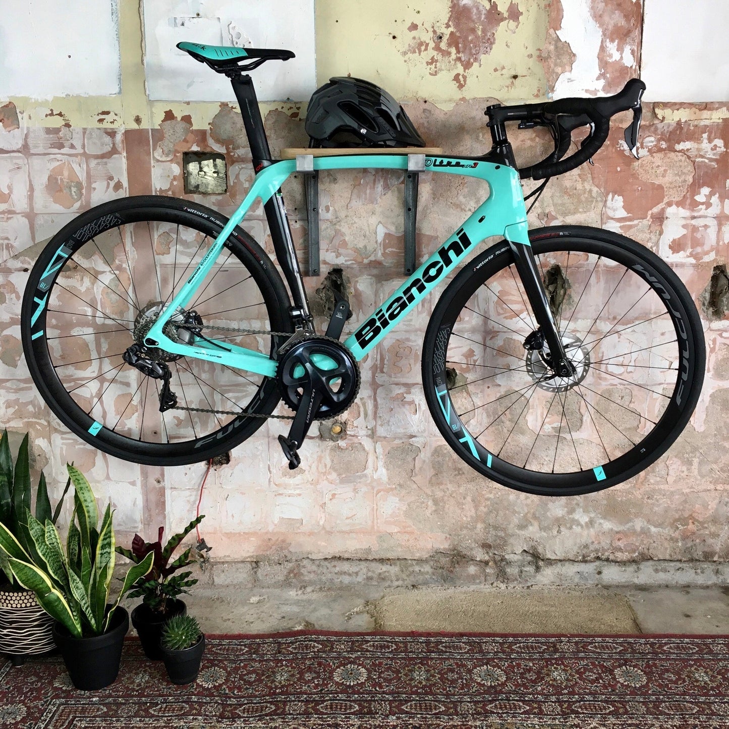 cycle wall hanger | grey minimalist + oak shelf